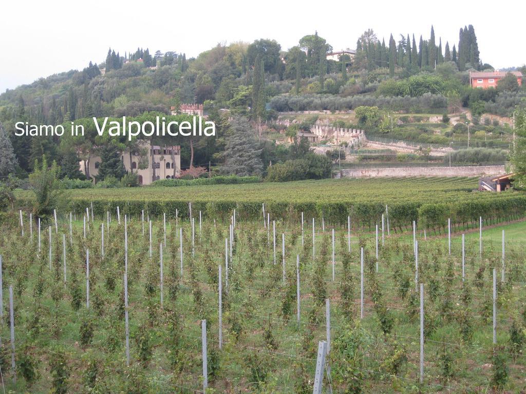 Agriturismo Terra E Sole Villa Sant'Ambrogio di Valpolicella Eksteriør billede